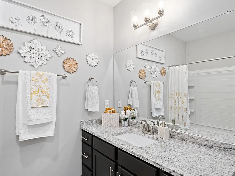 Bathroom + Granite Counters