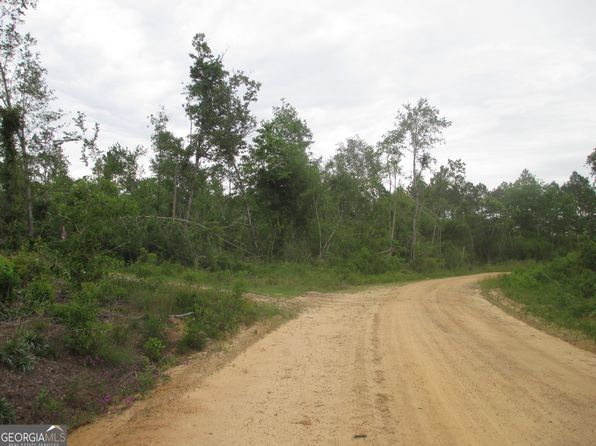 08600022T5 Red Bird Rd, Lumber City, GA 31549