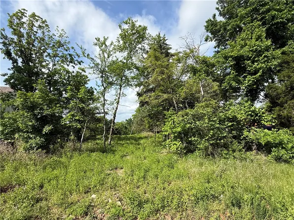 167 Holiday Island Dr #5, Eureka Springs, AR 72631