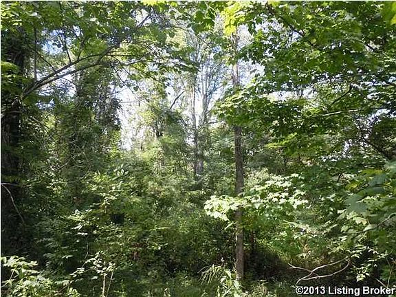 3rd image of 800 Flat Rock Rd