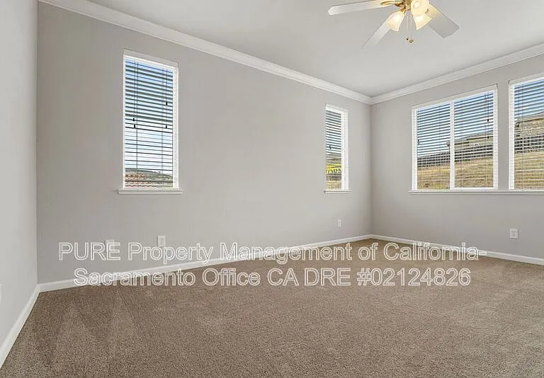 4909 Concordia Dr — Photo 25