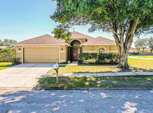 1434 Hatcher Loop Dr, Brandon, FL 33511