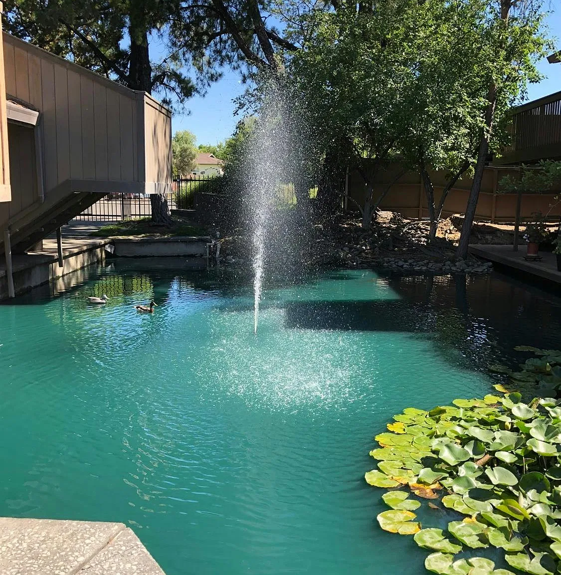 2468 Larkspur Lane, Unit 355 — Photo 1