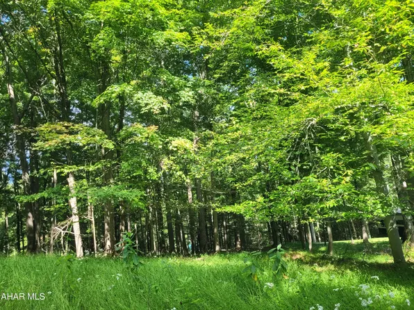 T178 Christopher Rd, Flinton, PA 16640