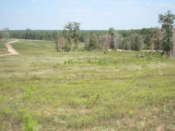 000-20 Fm 256 N, Woodville, TX 75979
