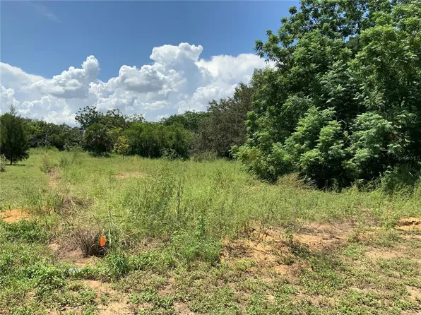 0 Fruitwood Ave Lot 6, Eustis, FL 32726