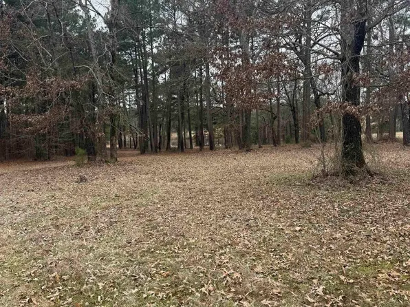 1040 Fm 2682, Karnack, TX 75661