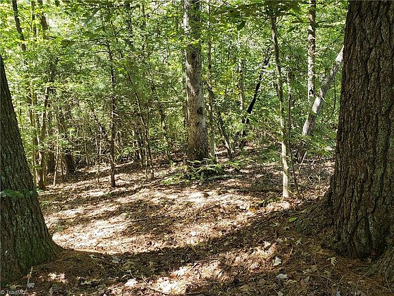 4th image of Spring Dr Lot 21