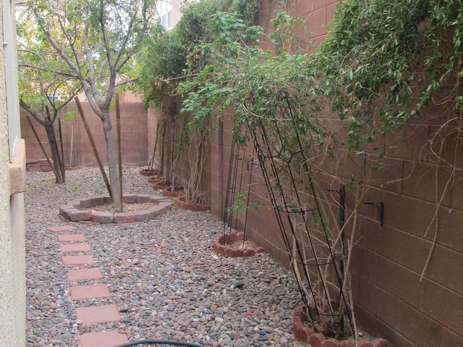 3 bed, 1739 sqft, $1,895 — Photo 4