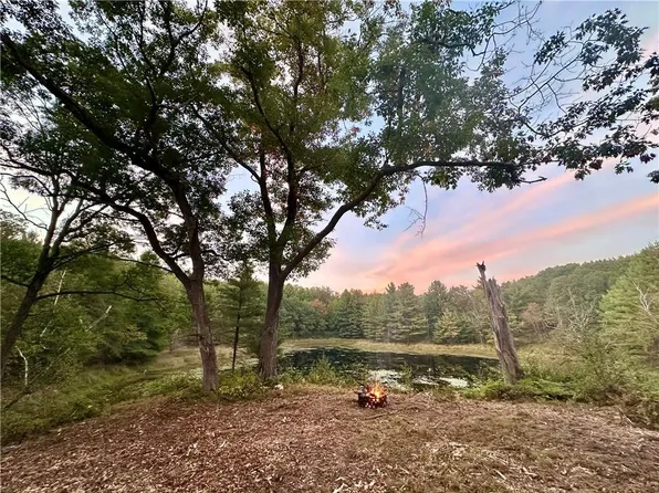 16.43 Acres Antler Lake Drive, Milltown, WI 54858