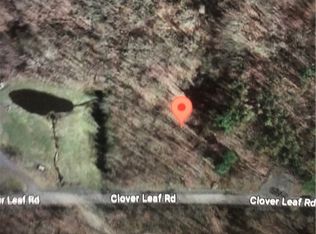 0 Cloverleaf Rd #16, Locke, NY 13092