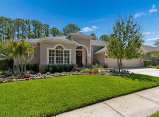 10423 Greenhedges Dr, Tampa, FL 33626