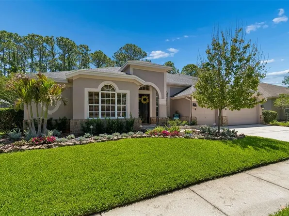 10423 Greenhedges Dr, Tampa, FL 33626