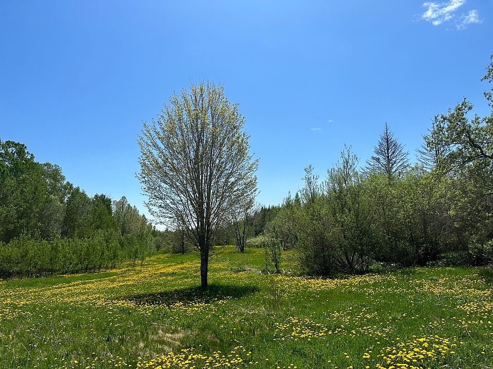 2nd image of 130 Carmichael Road