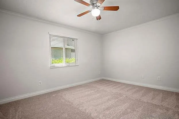 4177 Camino Islay — Photo 6