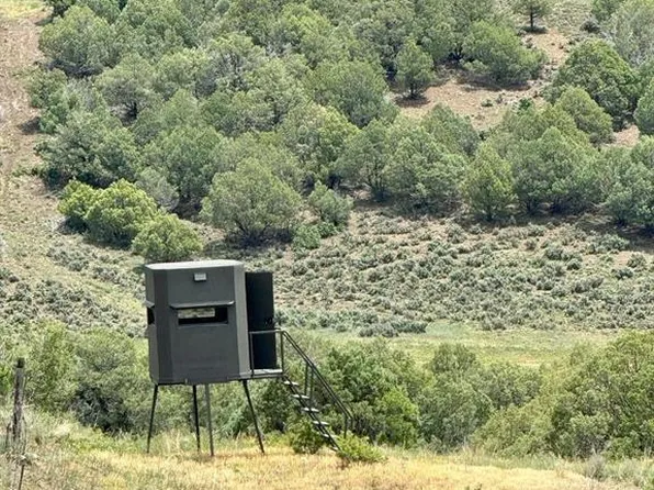 122 Forest Service Road 653 #Valle Seco 80, Pagosa Springs, CO 81147