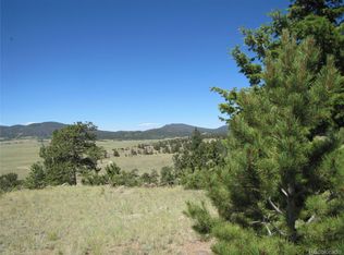 701 Canteen Way, Hartsel, CO 80449