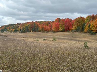 S Schomberg Rd, Cedar, MI, 49621
