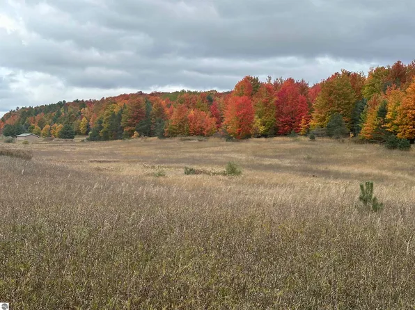 S Schomberg Rd, Cedar, MI 49621