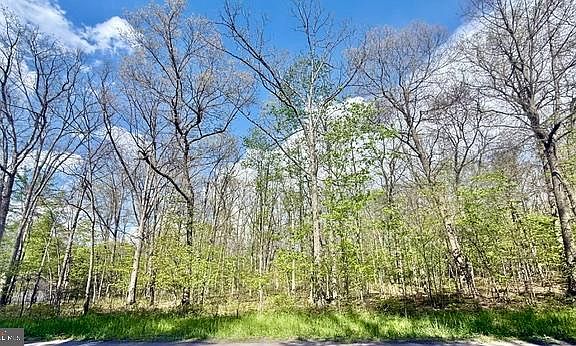 2nd image of Turkey Neck Rd Lot 12