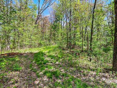 N Uldriks Rd, Battle Creek, MI, 49017