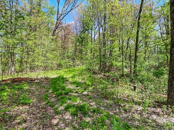N Uldriks Rd, Battle Creek, MI 49017