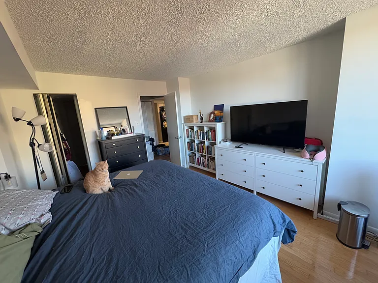 On the left you can see the entrance to the walk-in closet, which is a full length mirror.