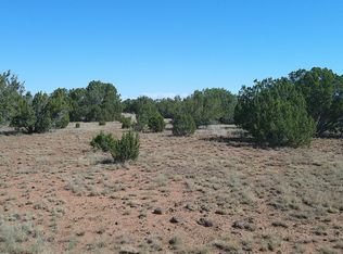 96 County Road 8068 Dr, Concho, AZ 85924
