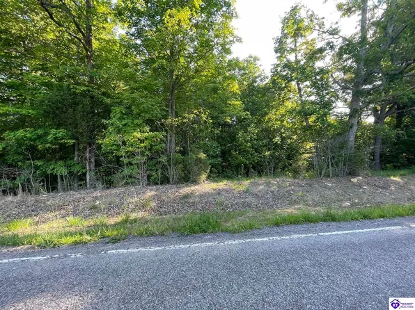 3 Rineyville Big Springs Rd, Rineyville, KY 40162