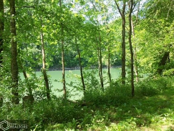 5th image of 0 Hiawassee Ln