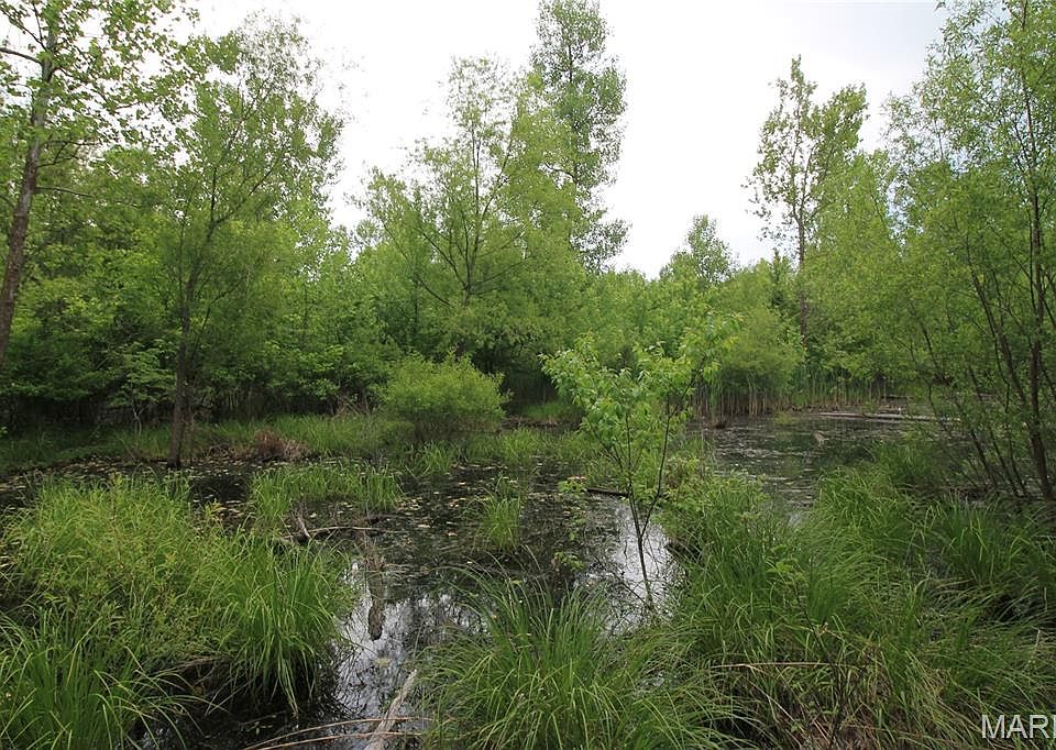 31st image of 0 Warden Lake Dr