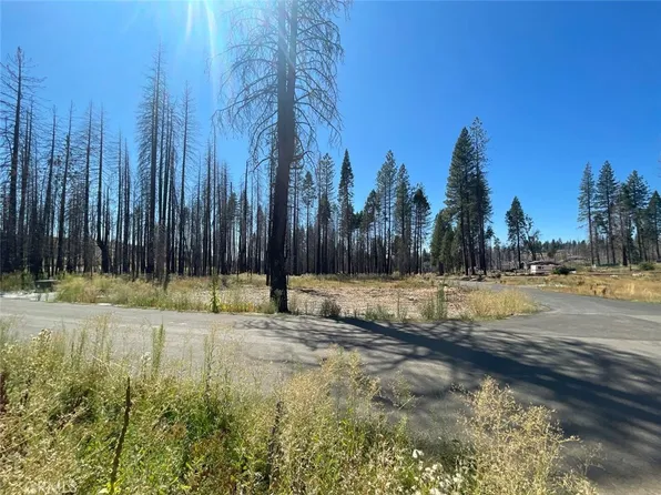 0 Winding Way #99, Grizzly Flats, CA 95636