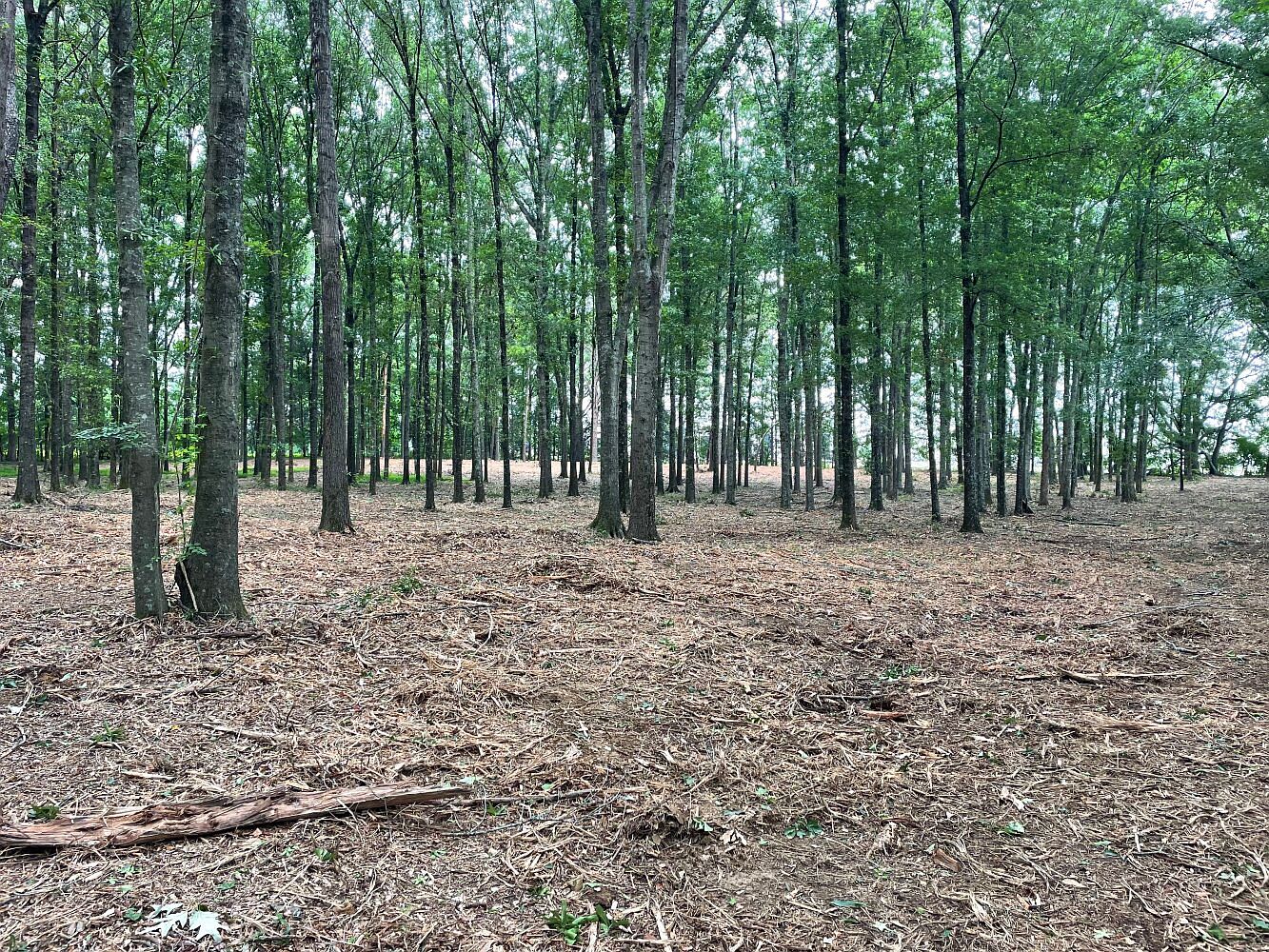 Old Hardy Road Interstate 55, Grenada, MS 38901 Zillow