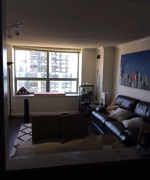 474 N Lake Shore Dr #4203 — Photo 9