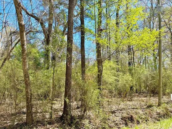 Camanche Rd, McComb, MS 39648