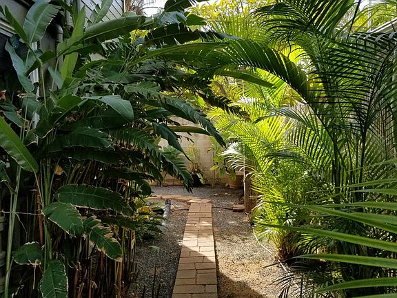 side yard