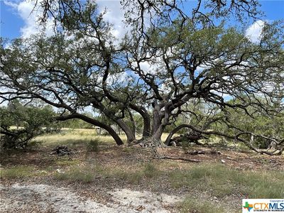 34810 Last Stage Way, Bulverde, TX, 78163