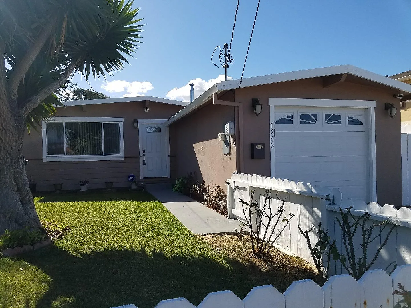 1268 Palm Ave photo 1