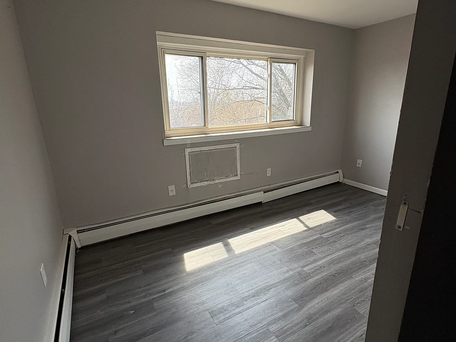 1 bed, $1,250 — Photo 4