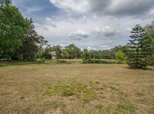 17346 Brown Rd, Odessa, FL 33556