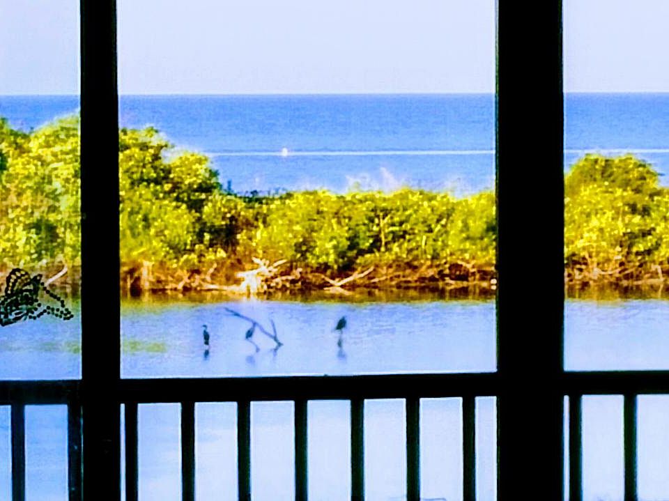 VIEW FROM BEDROOM