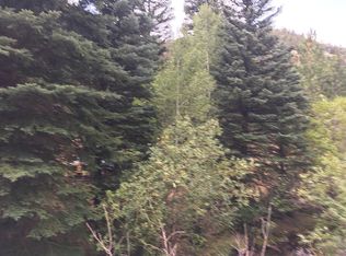 247 Fall River Rd, Idaho Springs, CO 80452