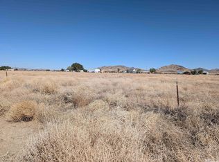0 Pete Henrichs Rd, Yerington, NV 89447
