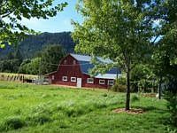 barn