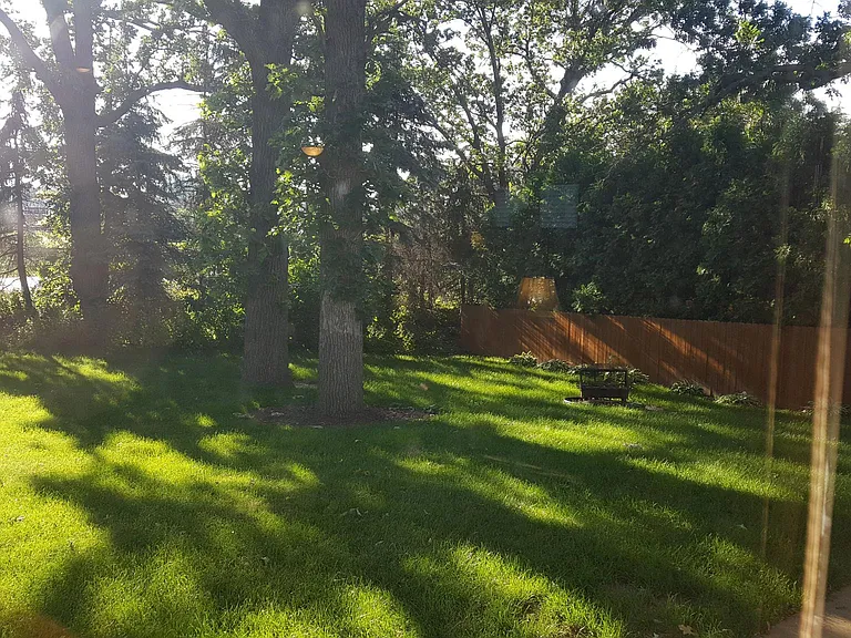 Private backyard with mature trees and peaceful green space.