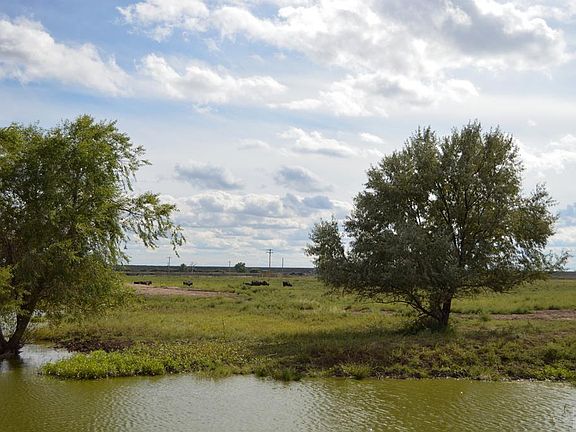 2nd image of 21571 Road 24