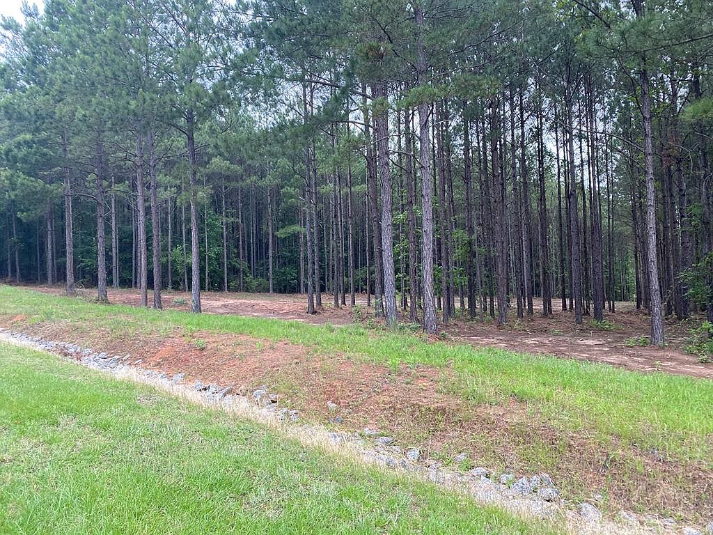 1145 Pine Shores Cv, Tignall, GA 30668 Zillow