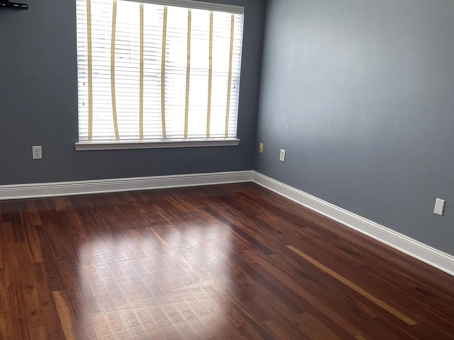 718 Majestic Drive - 1 — Photo 4