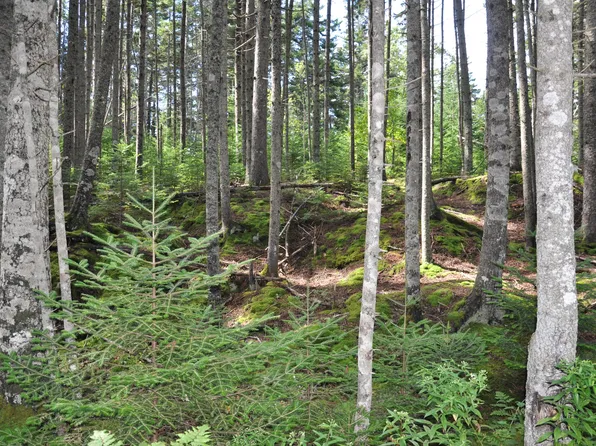 093-D Kingfisher Road, Bristol, ME 04554