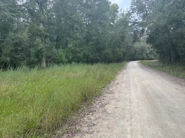 1386 Friendship Ln, Branford, FL 32008